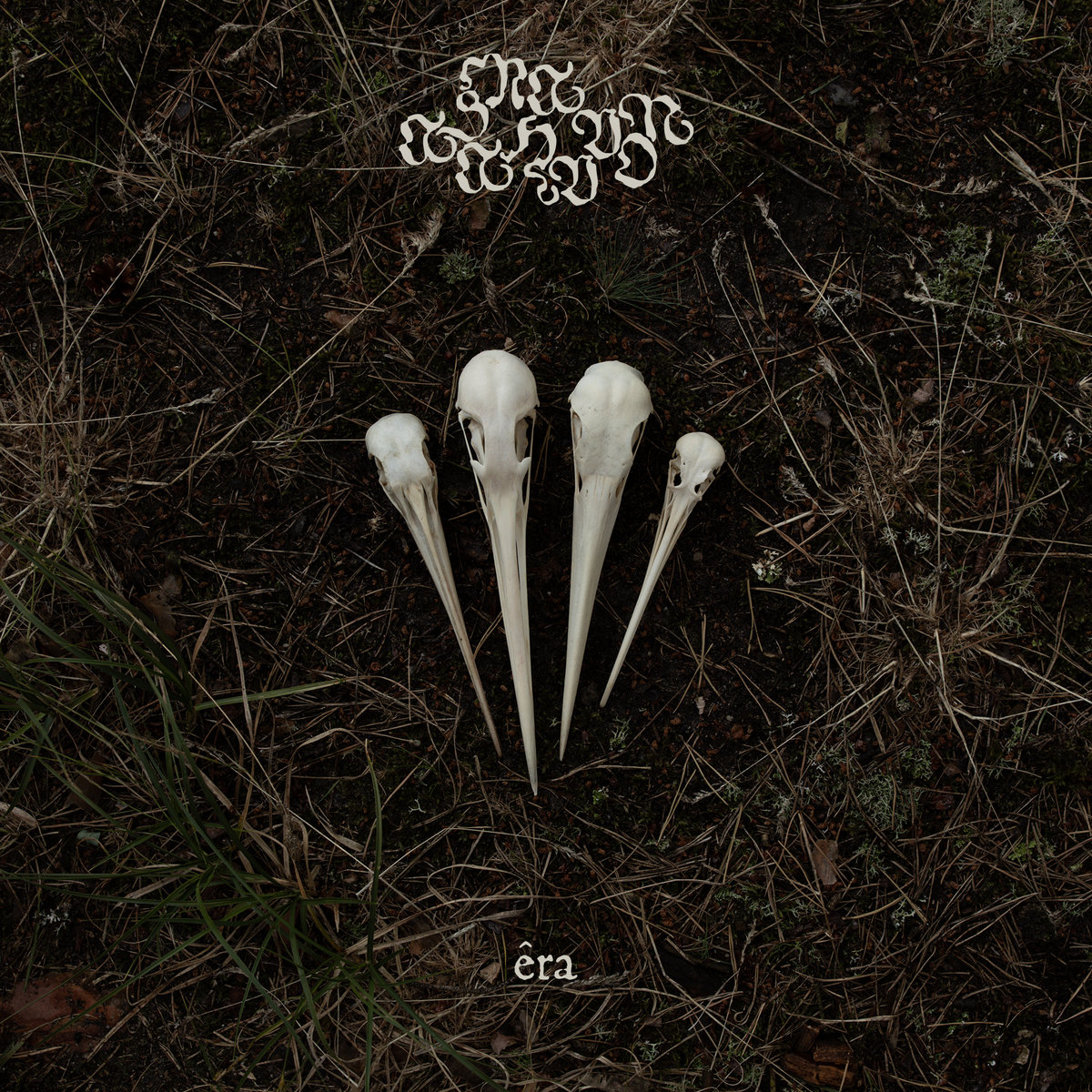 ASARHADDON：Êra（2024）